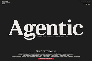 Agentic - Serif font family, a Serif Font by Artistic & Unique