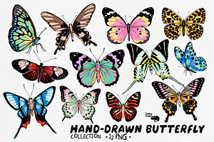 HAND-DRAWN BUTTERFLY COLLECTION