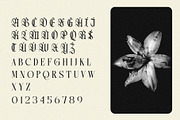 Northvale Blackletter Serif Font, a Blackletter Font by Heinzel Std (Thumbnail 8 of 10)