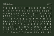 CS Bosley Drawn, a Serif Font by Craft Supply Co. (Thumbnail 8 of 8)