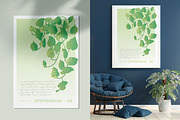 6 House Plants | Botanical Bundle, a Decorative Illustration by Lines And Crafts (Thumbnail 5 of 7)