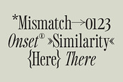 Sailing Club | Nostalgic Serif, a Serif Font by Jen Wagner Co (Thumbnail 17 of 22)