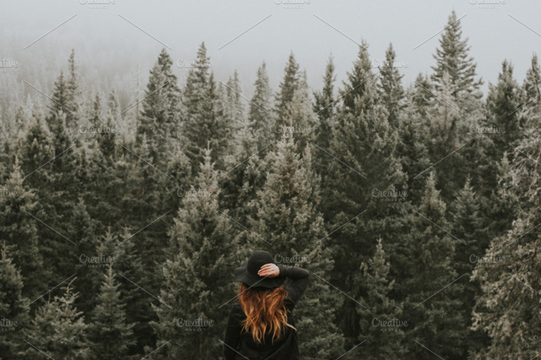 Girl in trees featuring nature, trees, and view, a Nature Photo by Wild Wander Collective