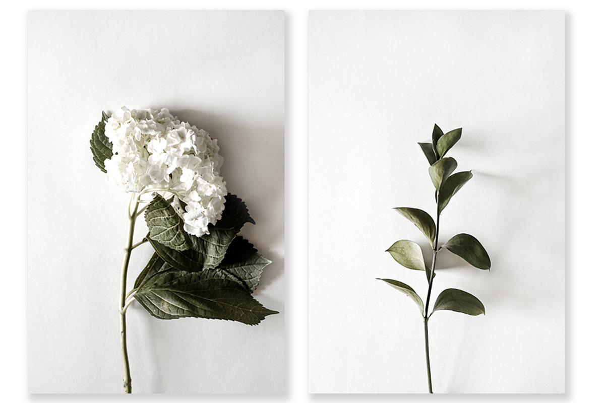 Floral Photography Bundle, a Nature Photo by Creative Moxie Studio (Photo 5 of 7)