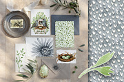 Starling family, spring bird, plants, an Animal Illustration by Artmanata (Thumbnail 7 of 16)
