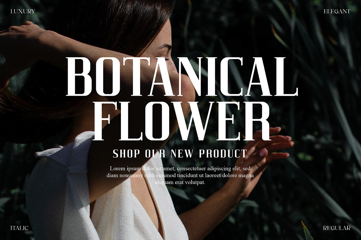Heaven Mine Modern Serif Font, a Serif Font by Storytype Studio (Photo 5 of 15)