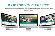 Delphinus - Corporate & Portfolio, a Websites & App Template by JoomlaUX (Thumbnail 4 of 5)