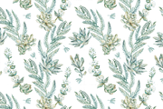 Wedding set of succulents, an Illustration by Elizaveta (Thumbnail 3 of 6)