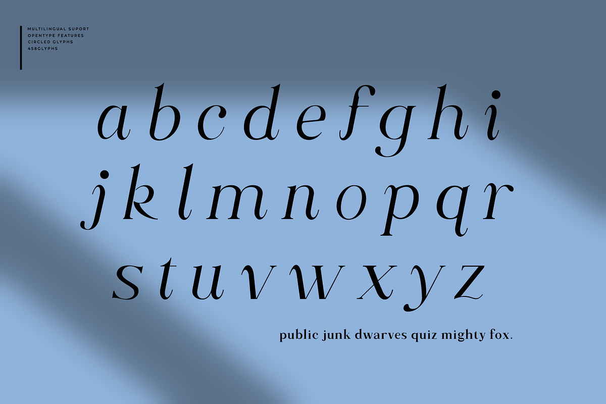 Along Serif BSC Font Family preview 7