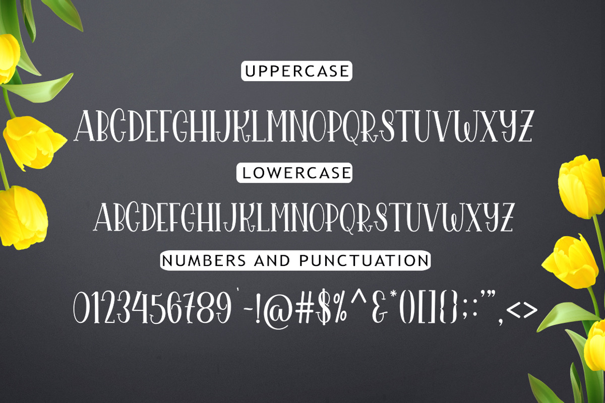 The Yolanda Font Duo, a Script Font by Madjack.font (Photo 8 of 9)