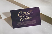 Skayhan Chester Bold Brush Font, a Script Font by Letterena Studios Script (Thumbnail 14 of 20)