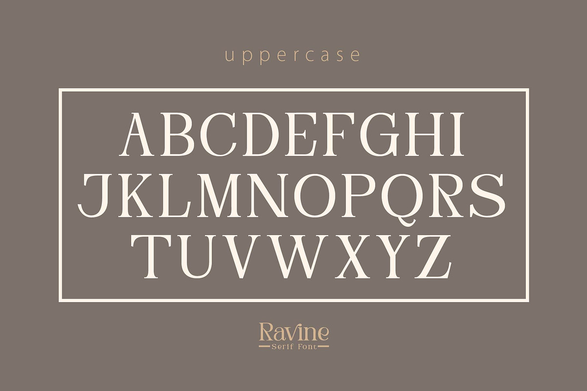 Ravine - modern serif, a Serif Font by Olexstudio (Photo 8 of 11)