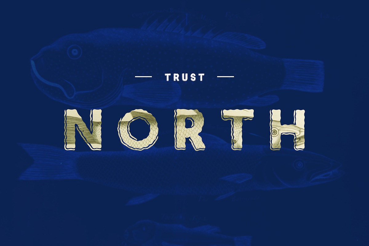 Romeo Press - Font, a Sans Serif Font by David is Creative (Photo 6 of 8)