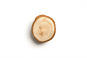 Rustic Wood Slice Vector Clipart Set, an Illustration by BIPLOB EXPERT (Thumbnail 5 of 13)