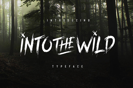 Into The Wild Typeface