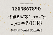 Balmore, a Serif Font by Sronstudio (Thumbnail 11 of 11)