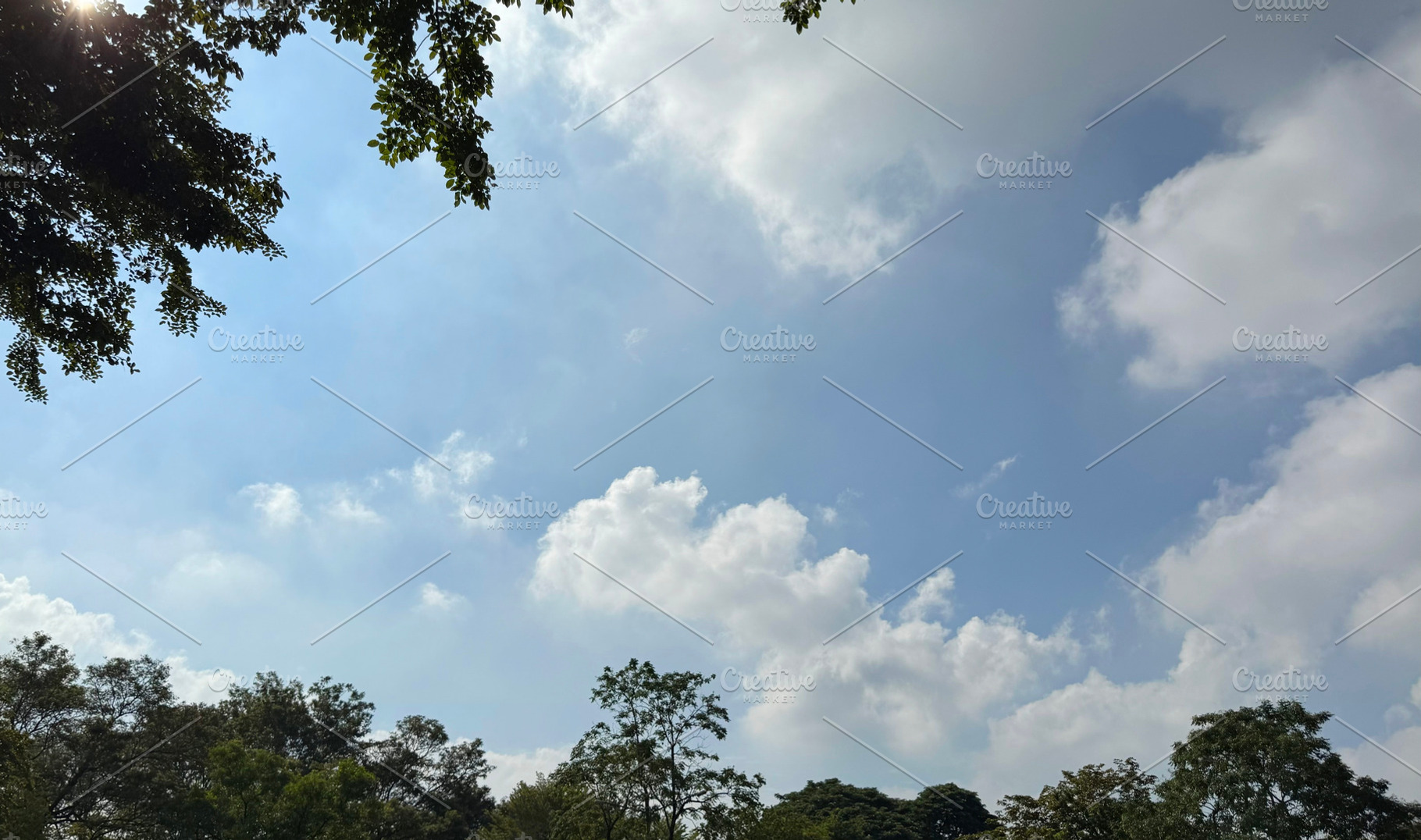 Tree and blue sky with clouds, a Nature Photo by ArtBackground