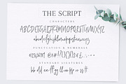 Poppit & Finch Fonts & Illustrations, a Script Font by Nicky Laatz (Thumbnail 6 of 14)