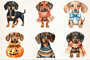 Watercolor Dachshund clipart, an Illustration by Rose Art (Thumbnail 3 of 4)