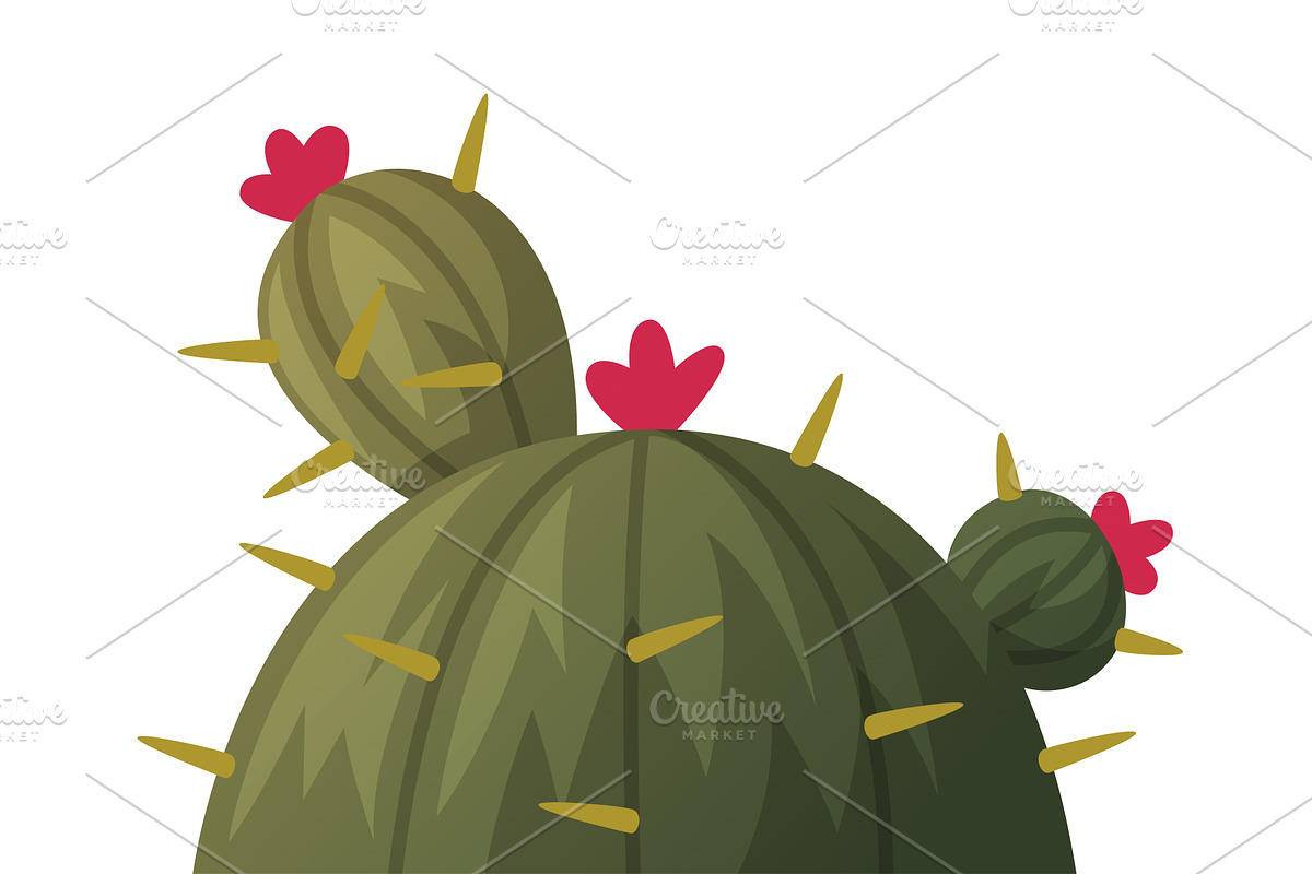 Cacti or Cactus Plant as Succulent, an Object Illustration by TopVectors