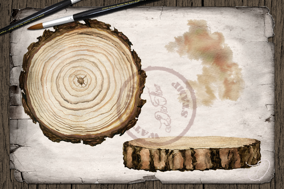Hedgehog Watercolor Illustration, a Decorative Illustration by DioFlow (Photo 6 of 6)