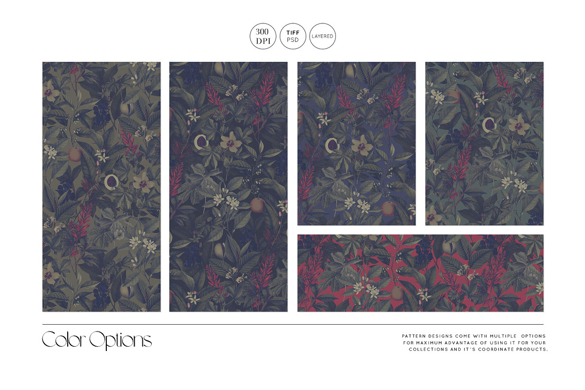 Botanic Oscuro Moody Botanical Print, a Pattern Graphic by TSTUDIO (Photo 3 of 10)