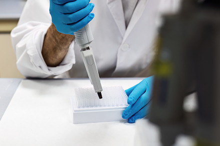Researcher handling micropipette for