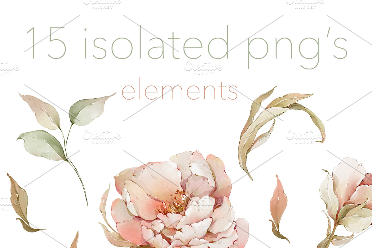 Watercolor peony roses pattern set, a Decorative Illustration by Edith’s World (Photo 6 of 13)