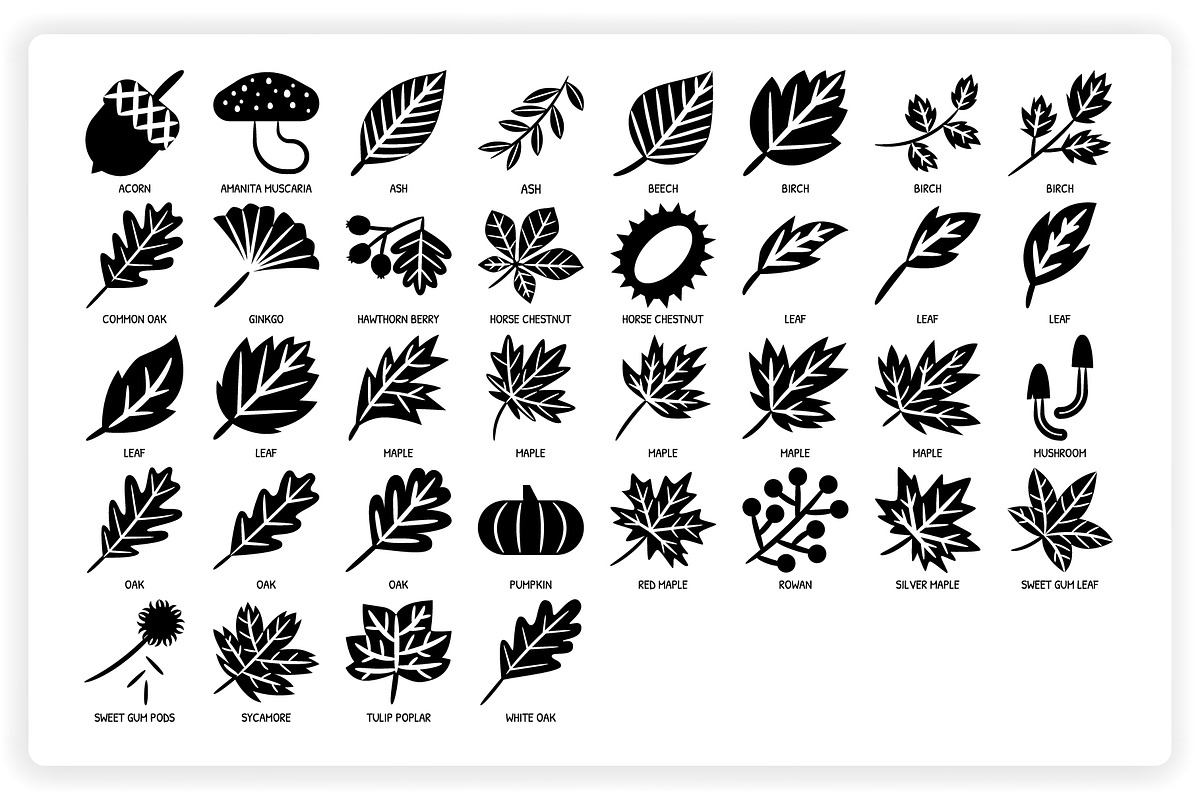 36 Autumn Elements + 12 Patterns, a Graphic by monkik (Photo 9 of 12)