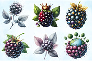 Watercolor Blackberry Clipart, an Illustration by Craft Nest (Thumbnail 5 of 6)