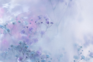 Soft pastel flowers in dreamy blur w, a Nature Photo by Edalin's Store