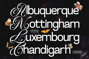TAN-THE REVERIE, a Sans Serif Font by TanType (Thumbnail 3 of 11)