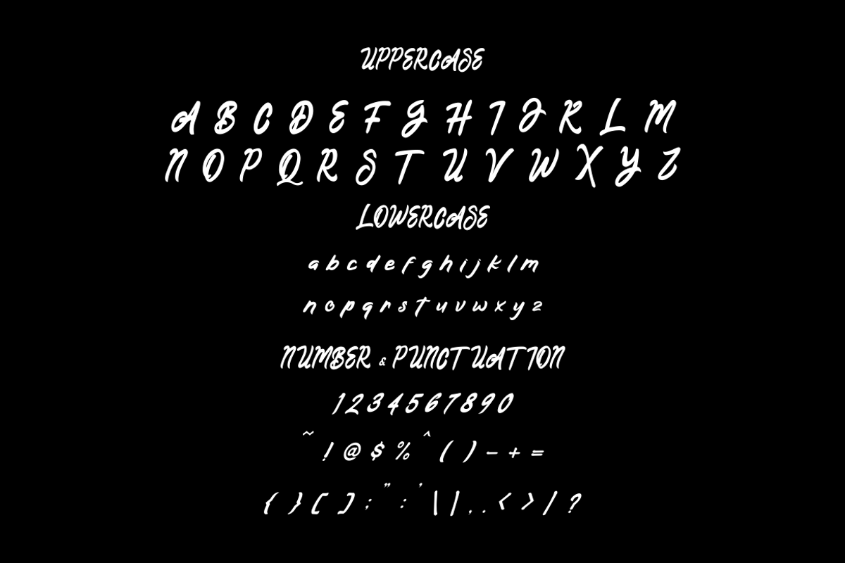 Metrolight Script Display Font, a Script Font by PutraCetol Studio (Photo 6 of 6)