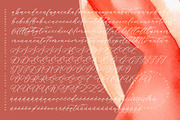Melodic Banthera Beautiful Script, a Script Font by stylishtype.co (Thumbnail 19 of 20)