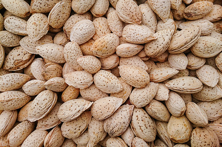 Almond with shell Pattern background, a Nature Photo by shahsoft