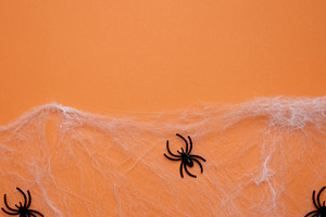 Halloween decoration. Spiderwebs and spiders on orange background, a Photo by matucha