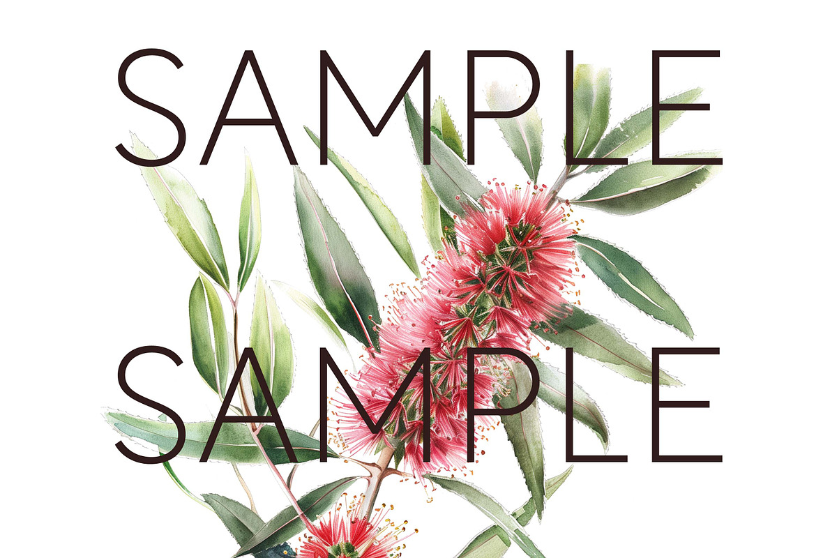 Bottle Brush Floral Clipart PNG, a Decorative Illustration by Pawcasso's Portraits (Photo 2 of 6)