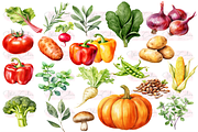 Vegetables Collection Clipart, a Food Illustration by Watercolor Digital (Thumbnail 4 of 9)