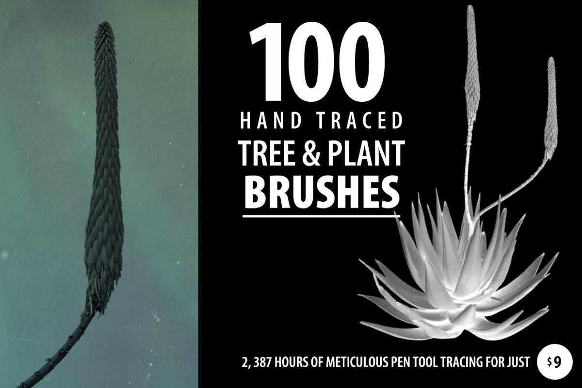 100 Tree and Plant Brushes, a Brush Add-On by envirographic (Photo 1 of 5)