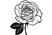 Rose Flower Silhouette Vector Bundle, an Illustration by Designer_Momina (Thumbnail 21 of 21)