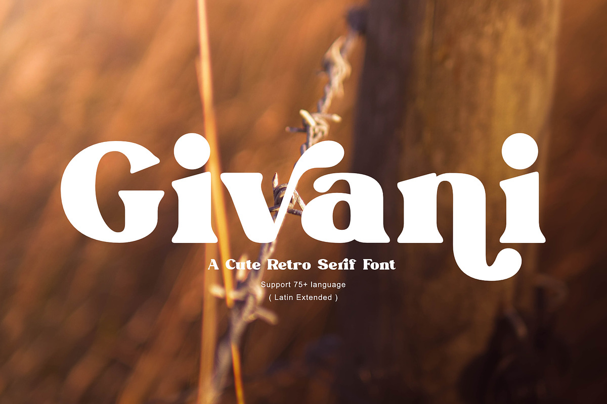 Givani - A cute retro serif, a Serif Font by Khoir (Photo 1 of 13)