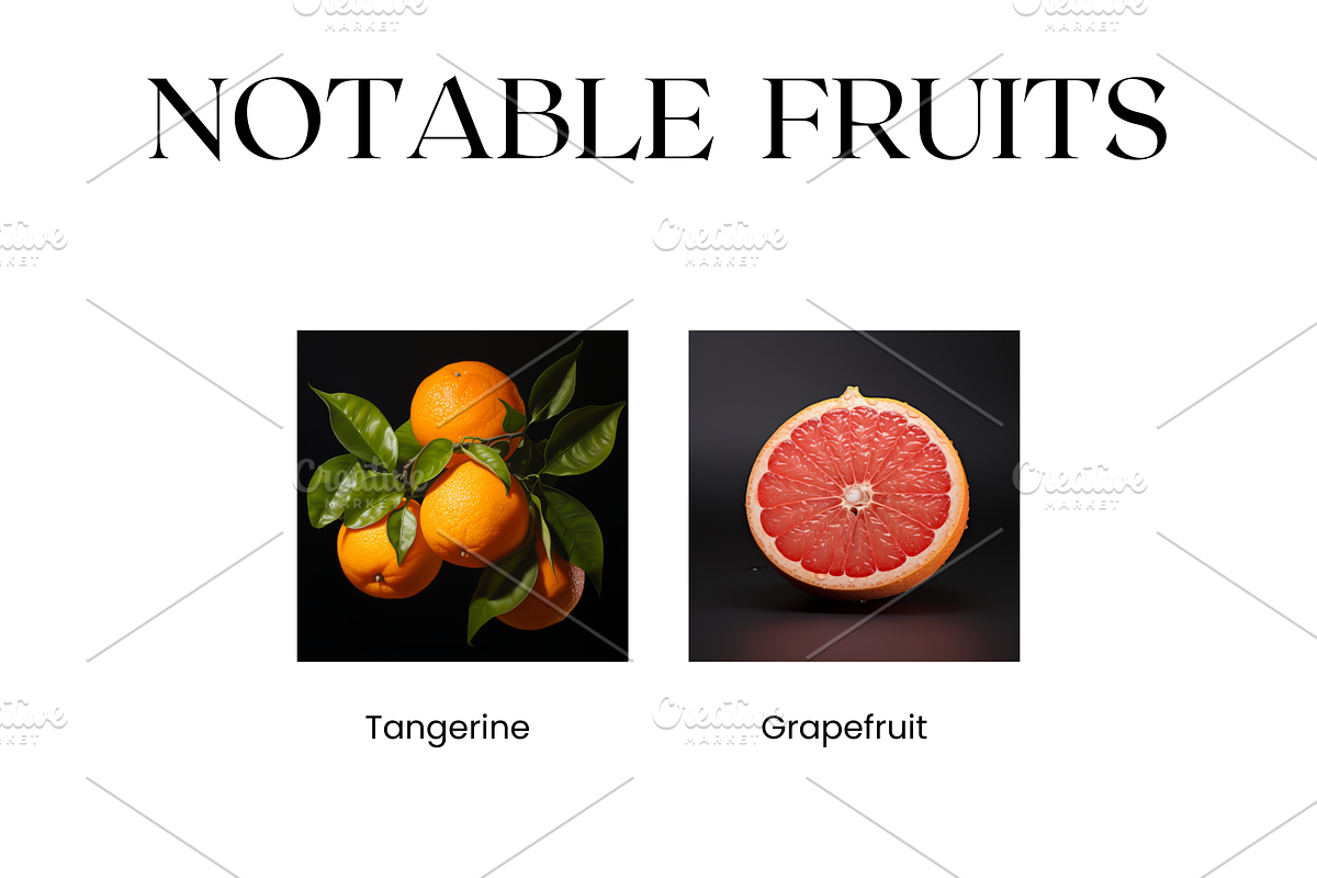 Variety Citrus Fruit Images, Lemon, a Food & Drink Photo by BrushstrokeArtGB (Photo 3 of 4)