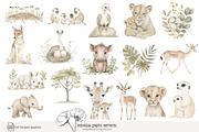 100 African savanna animals clip art, an Animal Illustration by Poppy Lane Studio (Thumbnail 5 of 12)