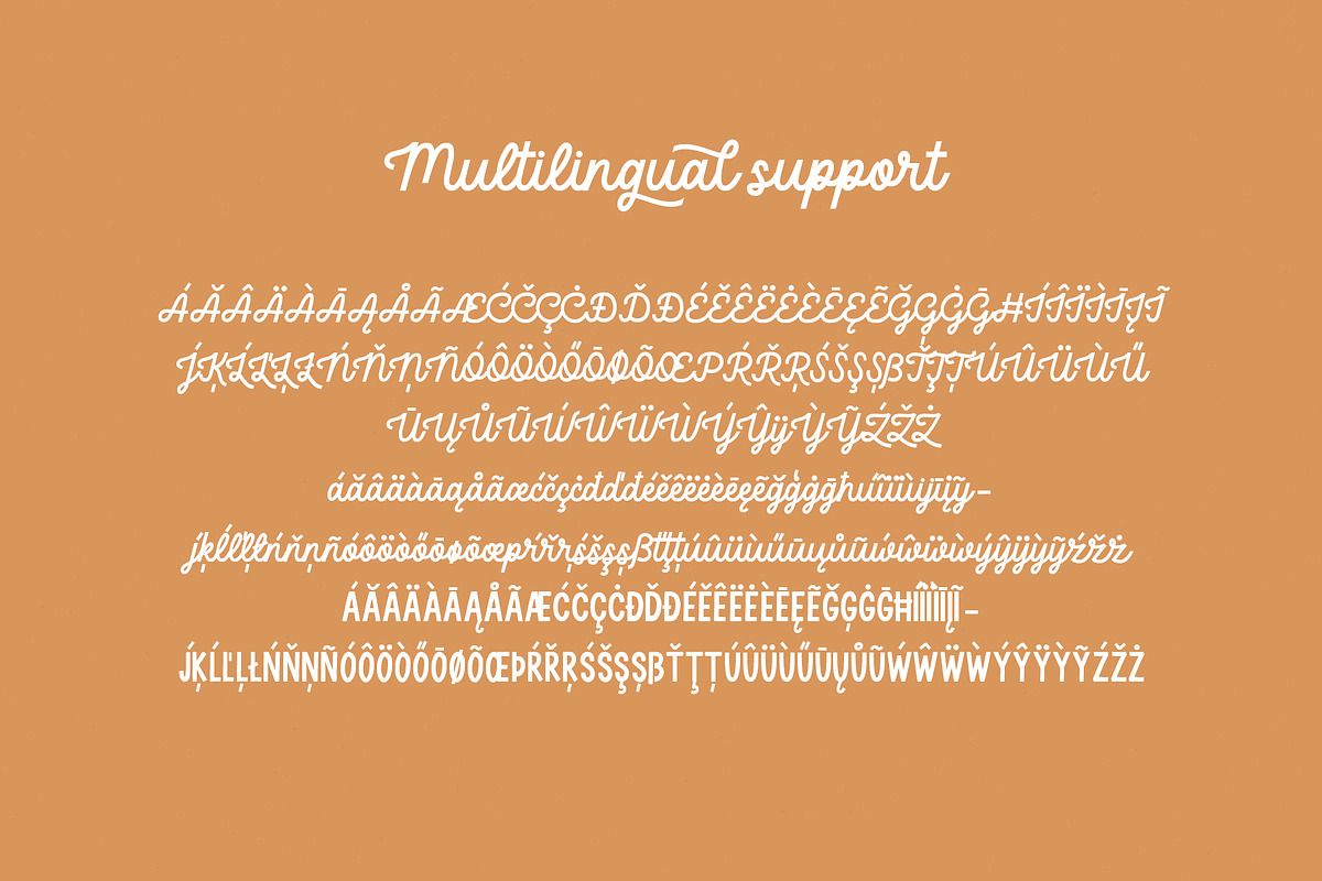 Delightful Monoline Font Duo, a Handwritten Font by supfonts (Photo 10 of 10)