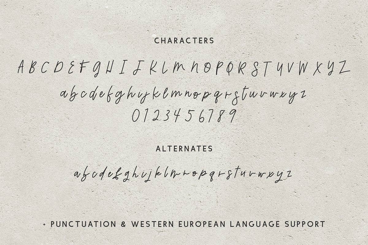 Trickster Script, a Handwritten Font by Beck McCormick (Photo 10 of 10)