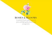 Roses & Blooms, a Pattern Graphic by TSTUDIO (Thumbnail 2 of 9)