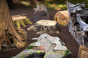 Forest Elements, an Environmental 3D Model by Beatheart Creative Studio (Thumbnail 8 of 25)