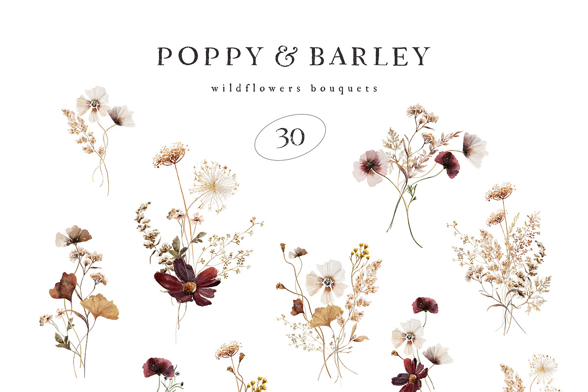 POPPY & BARLEY Autumn Wildflowers, a Seasonal Illustration by Muse Artist (Photo 3 of 14)