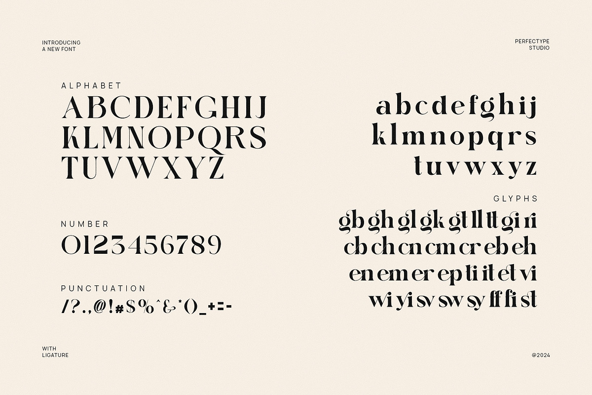 Migko Modern Ligature Serif Font, a Serif Font by Perfectype (Photo 5 of 6)