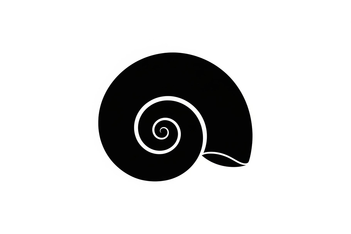 Spiral Seashell SVG Bundle, an Illustration by Gaye Art (Photo 2 of 31)